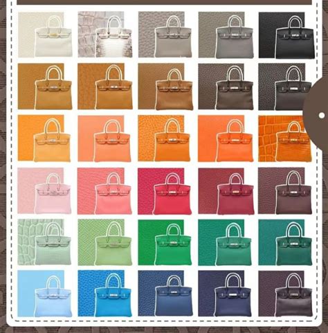 hermes birkin dust bag colour|Hermes Birkin color chart.